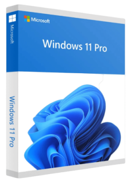 Windows 11 Pro ESD