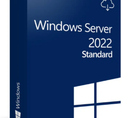 Windows Server 2022 Standard